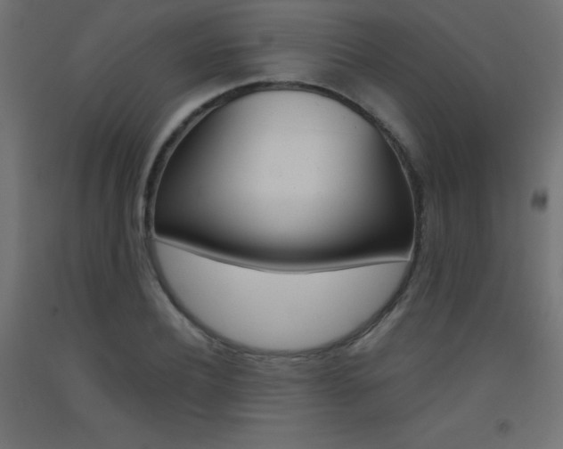 X0000093530932200710121146