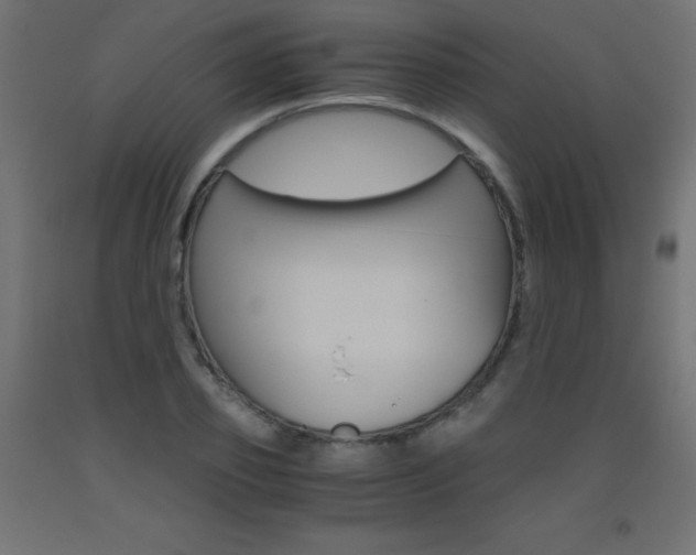 X0000093530933200710121146