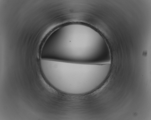 X0000093530934200710121146