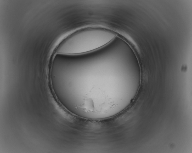 X0000093530935200710121146