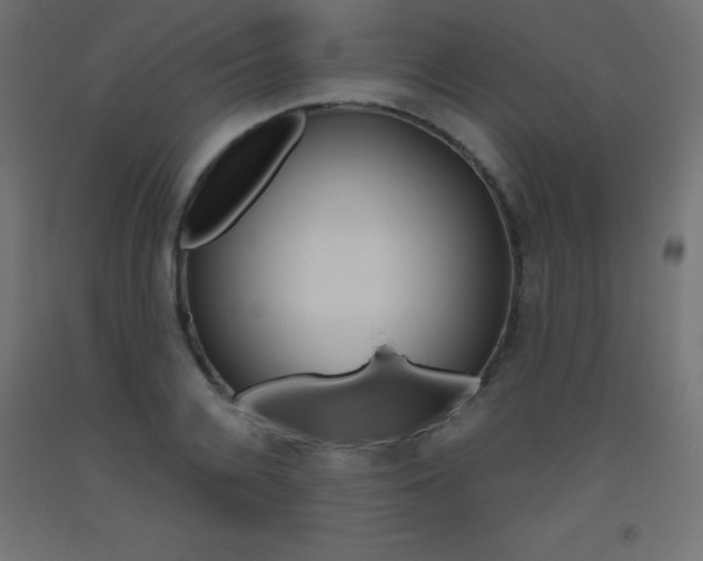 X0000093530936200710121146