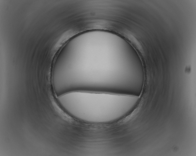 X0000093530938200710121146