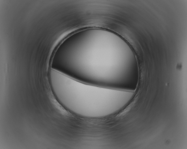X0000093530940200710121146