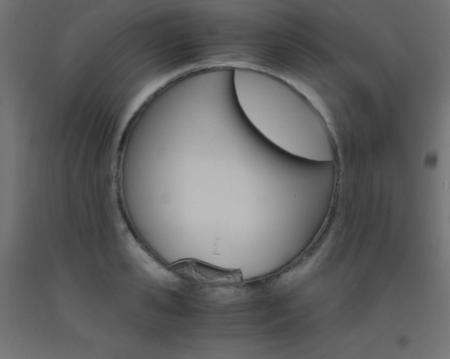 X0000093530941200710121146