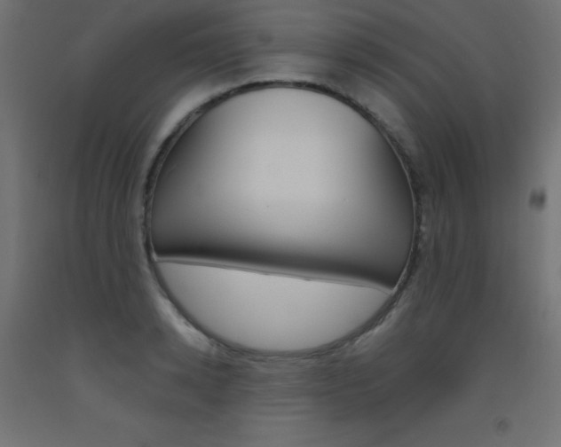 X0000093530942200710121146