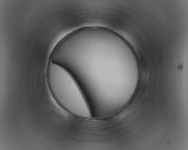 X0000093530943200710121146