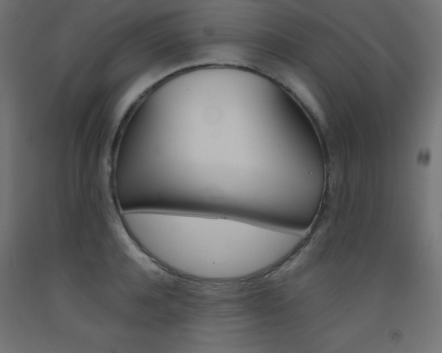 X0000093530944200710121146