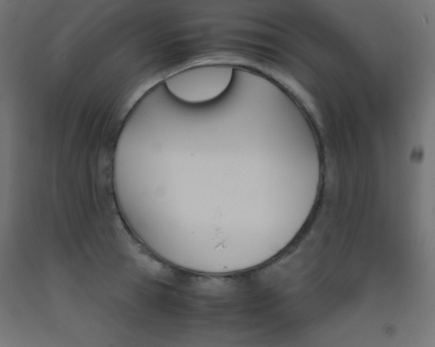 X0000093530945200710121146