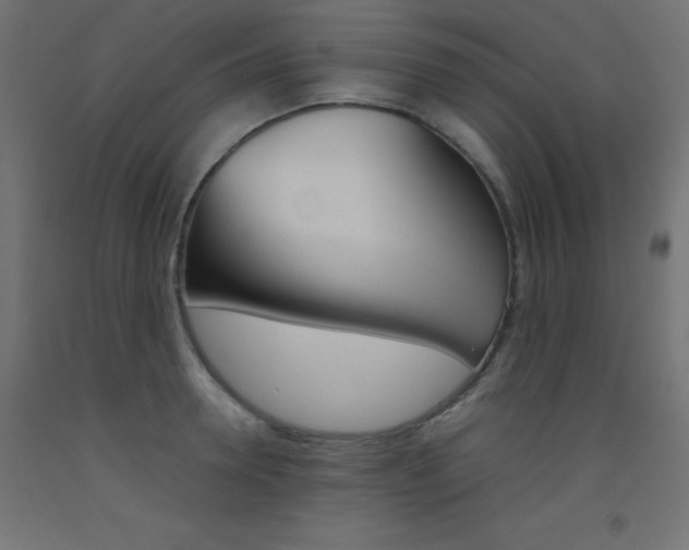 X0000093530946200710121146
