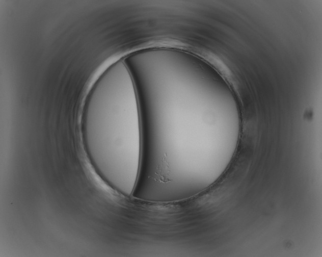 X0000093530947200710121146
