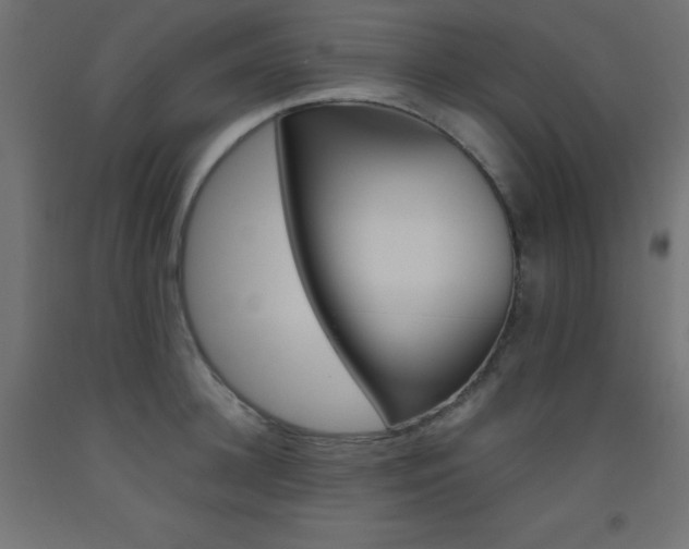 X0000093530948200710121146