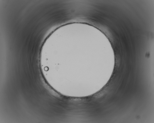 X0000093530950200710121146