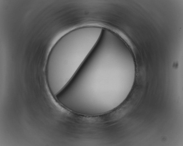 X0000093530951200710121146
