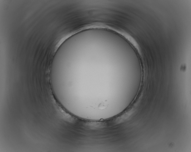 X0000093530953200710121146