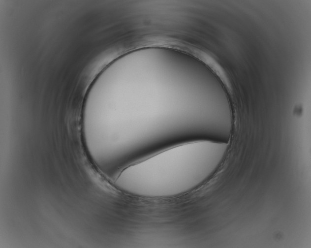 X0000093530954200710121146