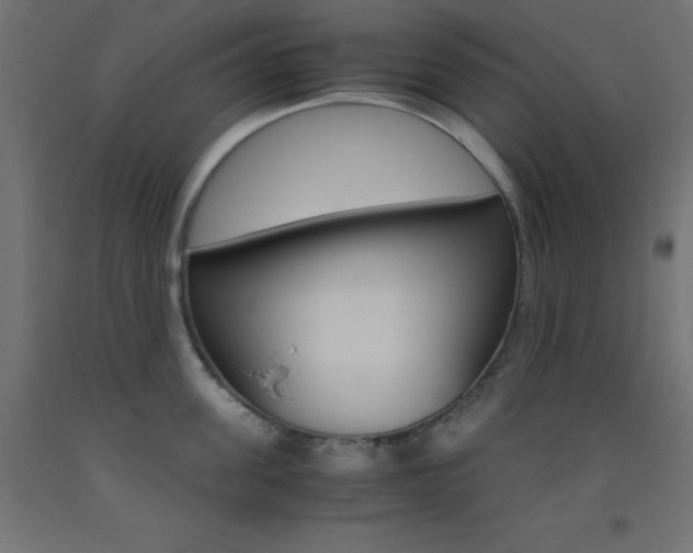 X0000093530955200710121146