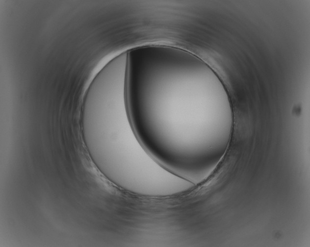 X0000093530956200710121146
