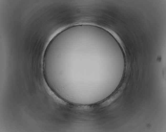 X0000093530957200710121146