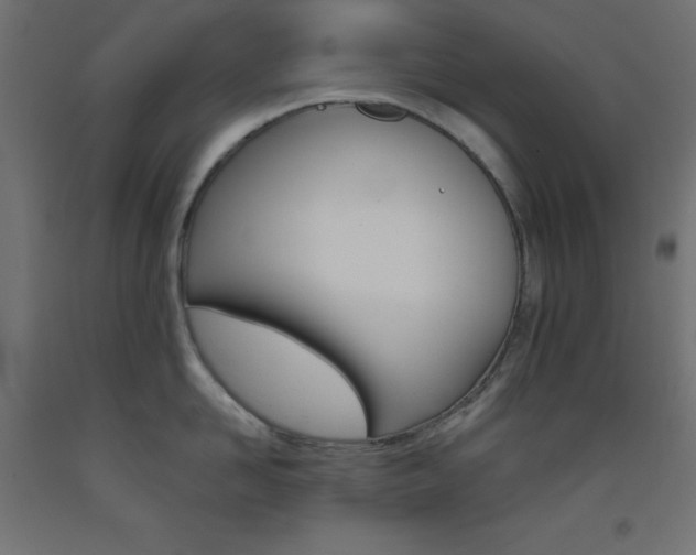 X0000093530958200710121146