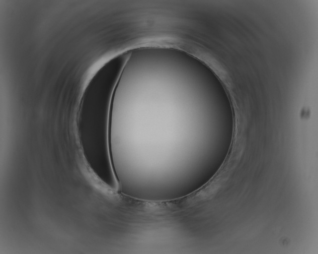 X0000093530960200710121146