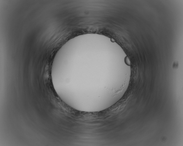 X0000093530962200710121146