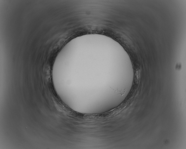 X0000093530963200710121146