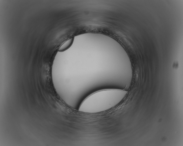 X0000093530964200710121146