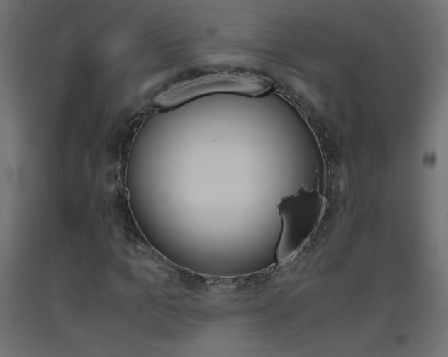 X0000093530965200710121146