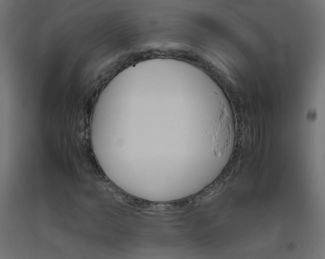 X0000093530966200710121146