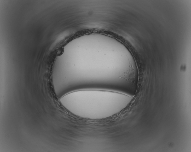 X0000093530967200710121146