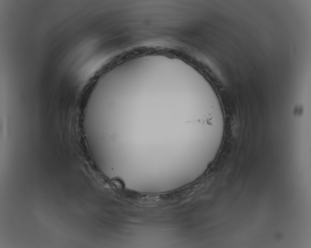 X0000093530968200710121146