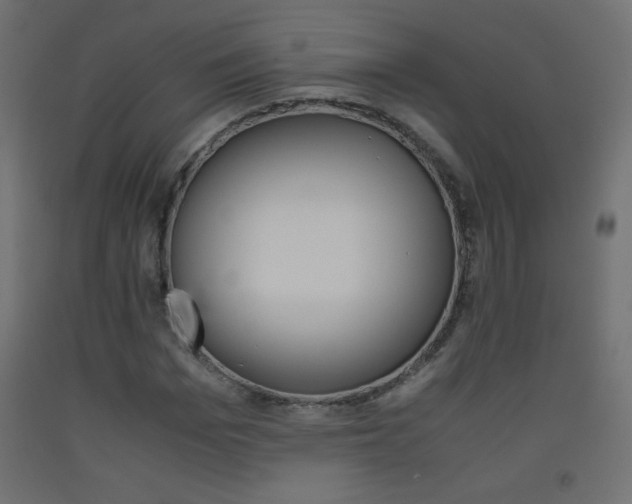 X0000093530969200710121146