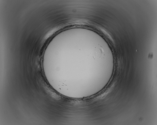 X0000093530970200710121146