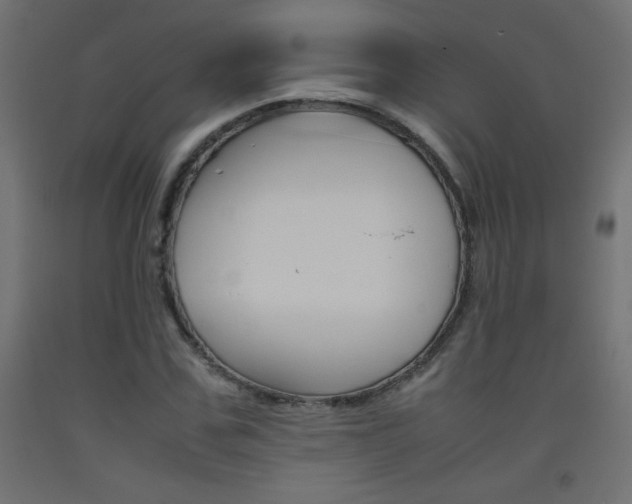 X0000093530971200710121146
