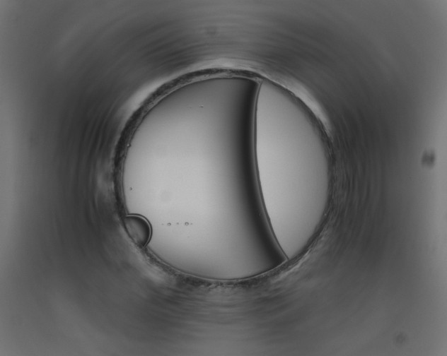 X0000093530972200710121145