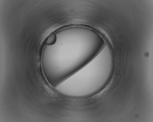 X0000093530973200710121145