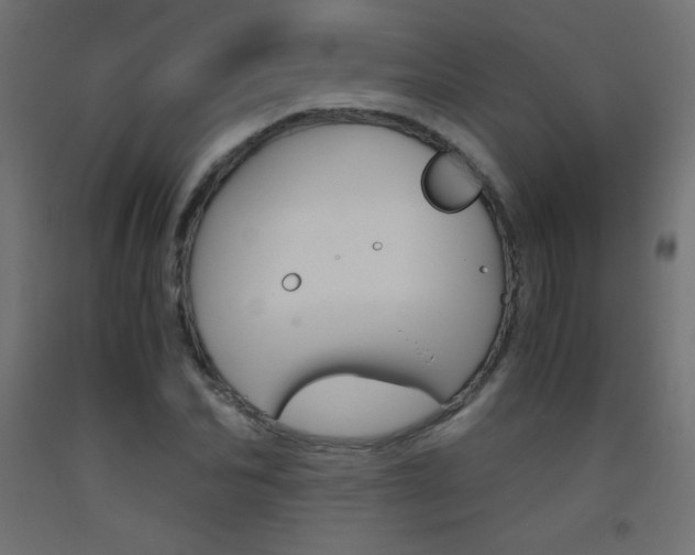 X0000093530974200710121145