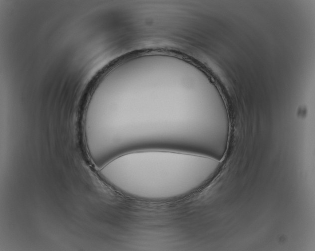 X0000093530975200710121145