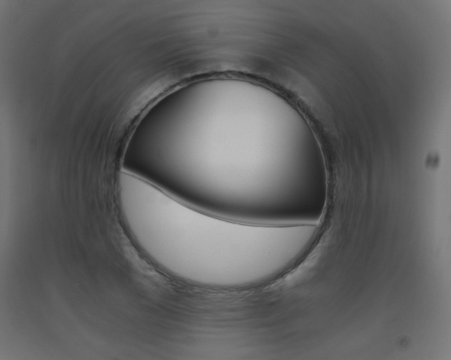 X0000093530977200710121145