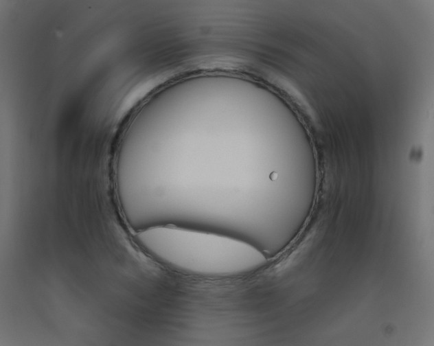 X0000093530978200710121145