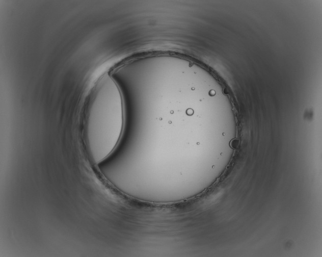 X0000093530979200710121145