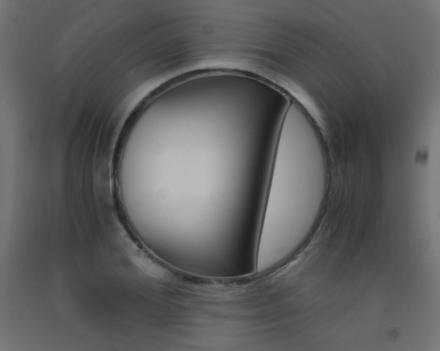 X0000093530980200710121145