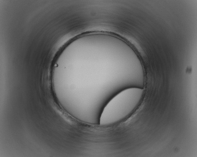 X0000093530982200710121145