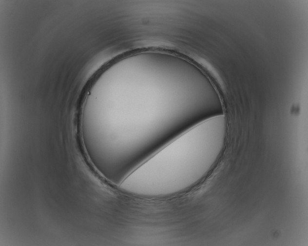 X0000093530983200710121145