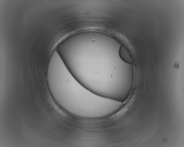 X0000093530985200710121145