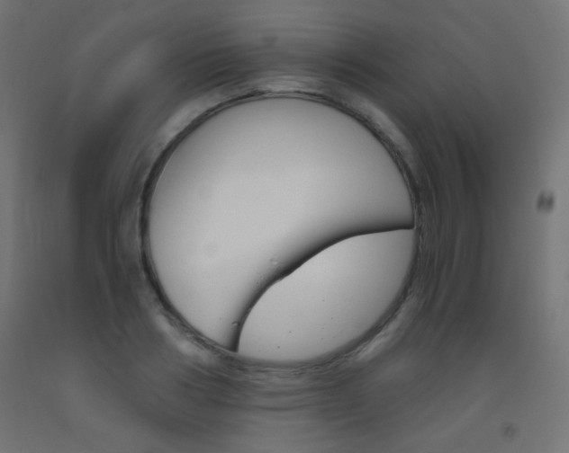 X0000093530986200710121145