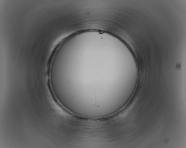 X0000093530987200710121145