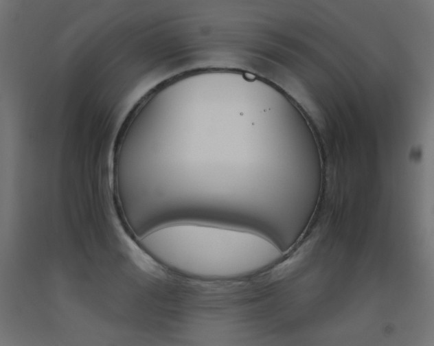 X0000093530988200710121145