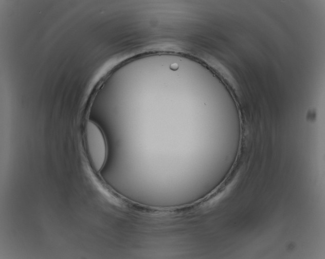X0000093530989200710121145