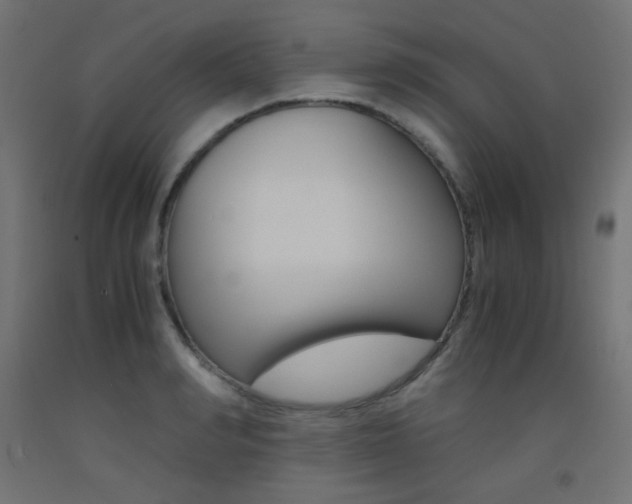 X0000093530990200710121145